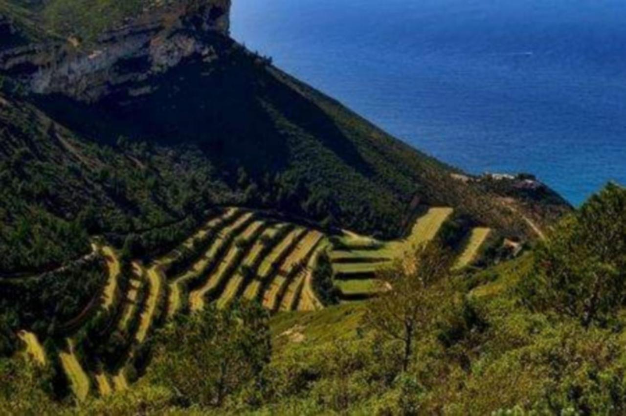 L'Odyssee Bleue Vue Mer Cassis Ngoại thất bức ảnh
